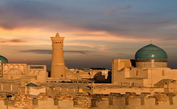 乌兹别克斯坦海关数据查询平台（附免费试用查询名额)